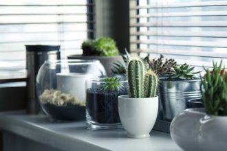 Plant Care App