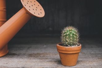 Watering Tracker App