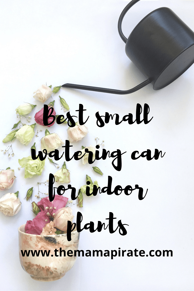 best small indoor watering can
