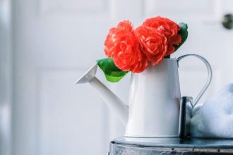 small indoor plant watering can