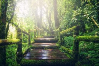 top botanical gardens in europe