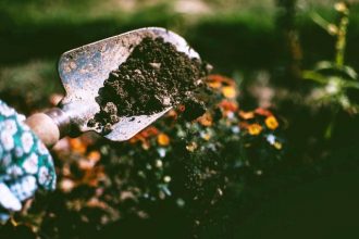 Gardening while pregnant